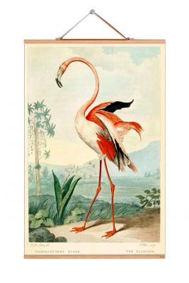 Birds South America Poster No 02 eicie